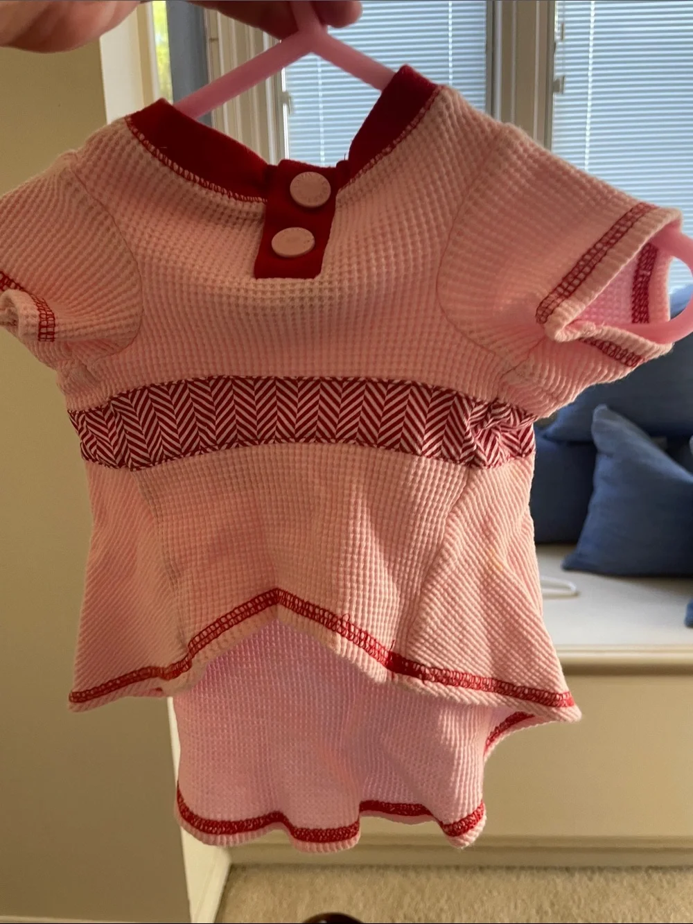 Pink & Red Female Dog Dress